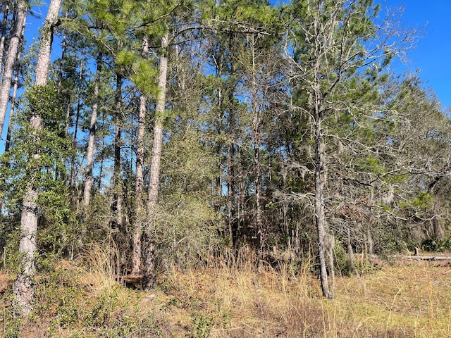 115 Click Rd, Satsuma FL, 32189 land for sale