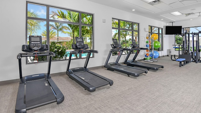 exercise room featuring a healthy amount of sunlight and carpet flooring