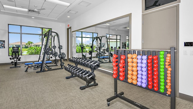 exercise room featuring a paneled ceiling, a healthy amount of sunlight, and carpet