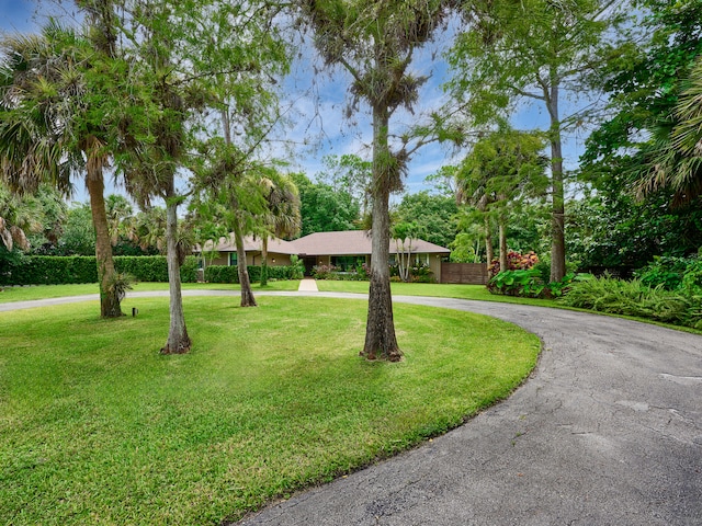 ranch-style house featuring a front lawn