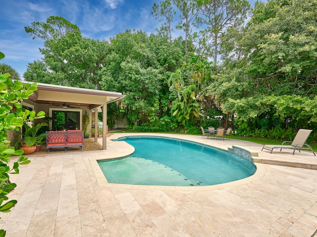 view of swimming pool featuring a patio and ceiling fan