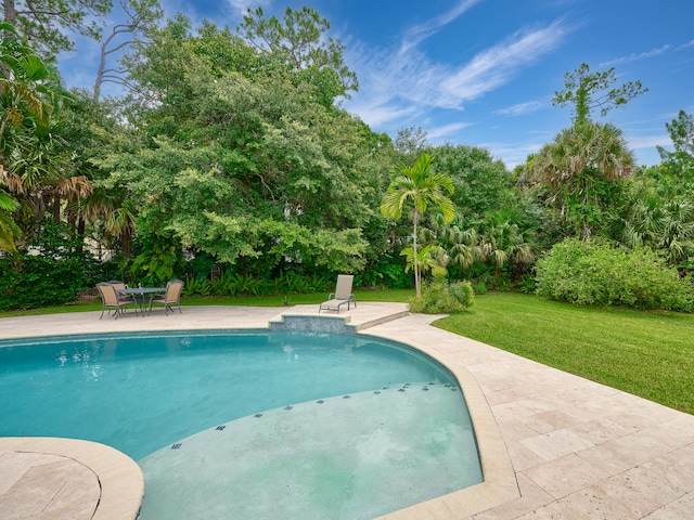 view of pool with a lawn and a patio area