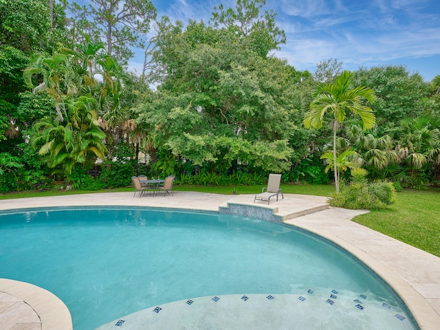 view of pool featuring a patio