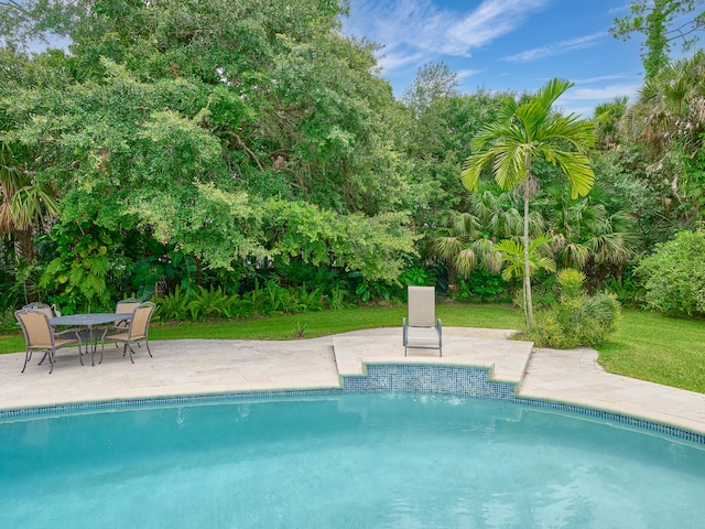 view of swimming pool featuring a patio