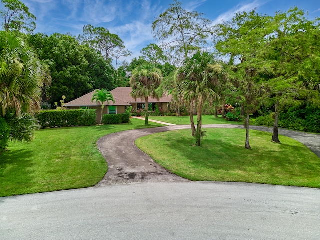 ranch-style home featuring a front yard