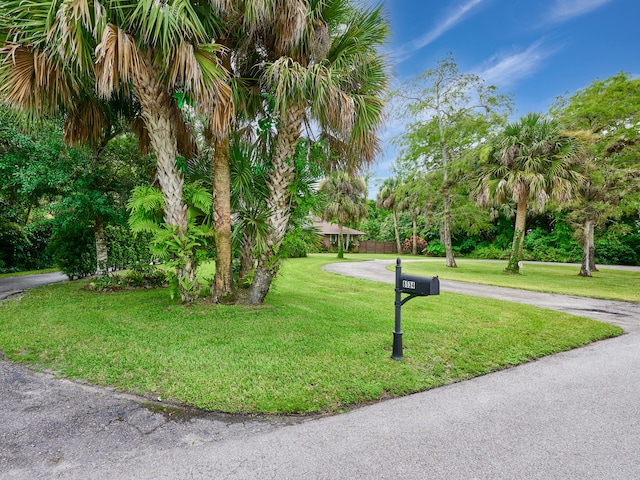 surrounding community featuring a yard