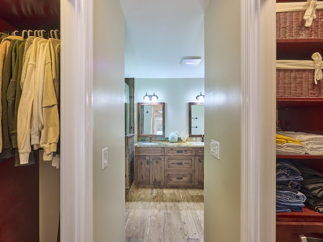 bathroom with hardwood / wood-style floors and vanity