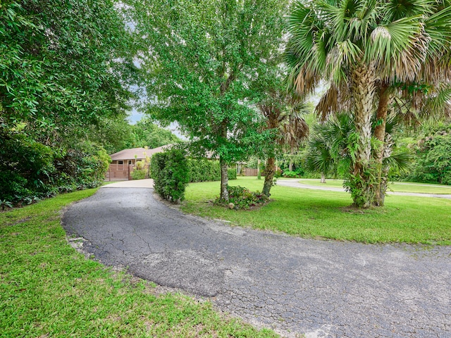 view of front of property featuring a front yard