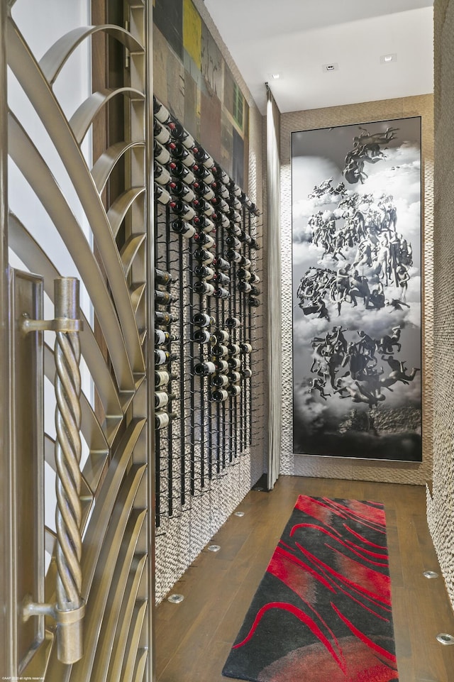 wine cellar featuring dark hardwood / wood-style flooring