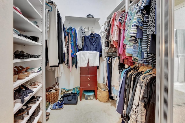 view of spacious closet