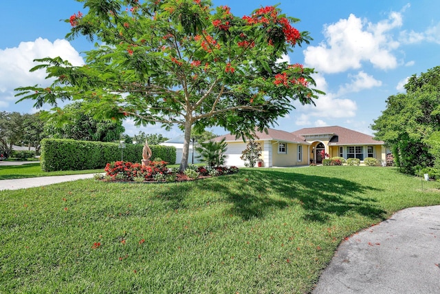 ranch-style house featuring a front lawn and a garage