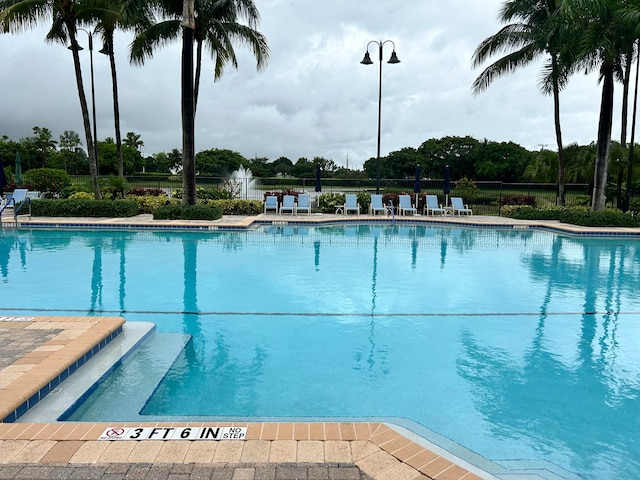 view of swimming pool