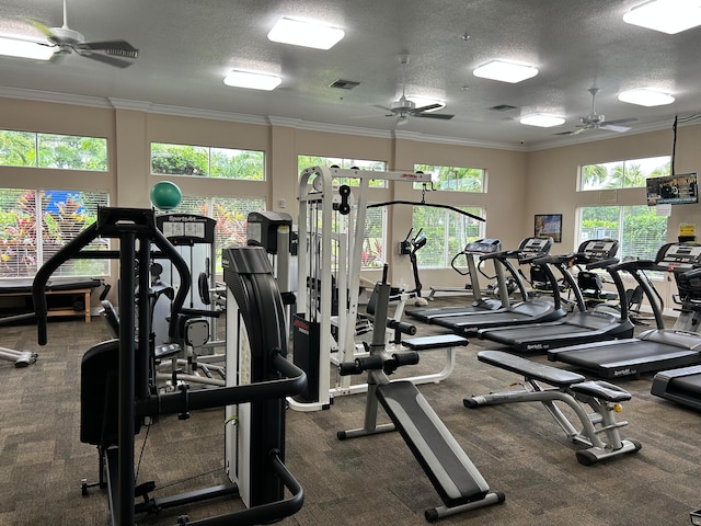 workout area with a healthy amount of sunlight, a textured ceiling, ornamental molding, and dark carpet