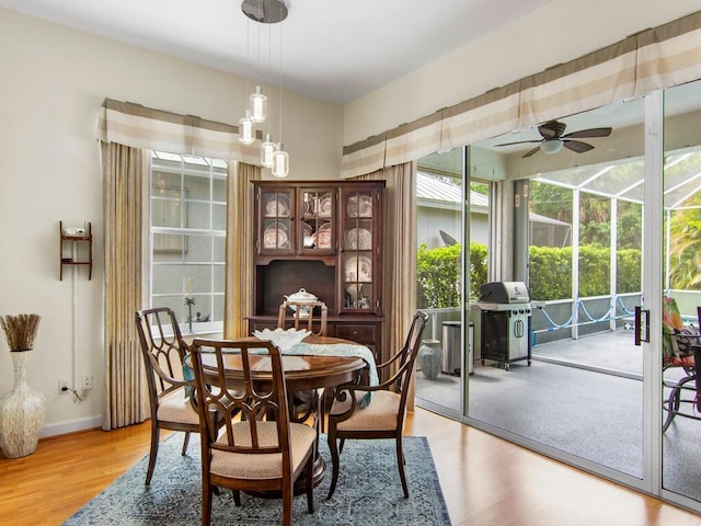 dining space with ceiling fan and hardwood / wood-style flooring