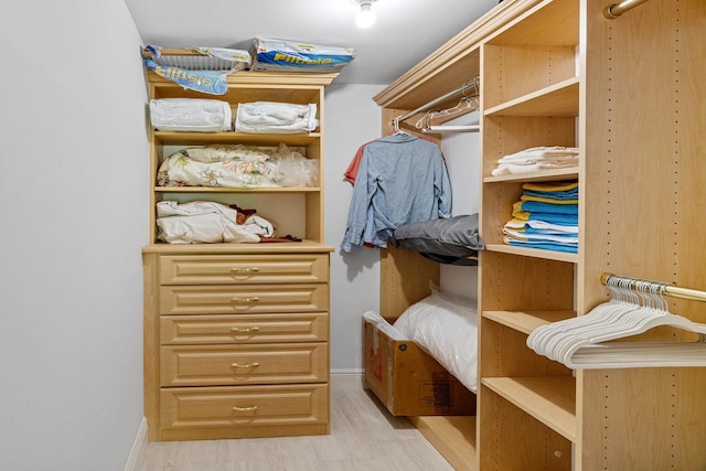 walk in closet with light wood-type flooring