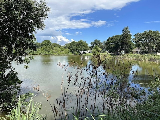 view of water feature