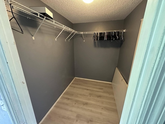 spacious closet with hardwood / wood-style flooring