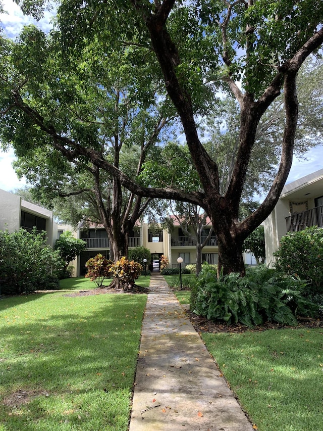 surrounding community featuring a yard