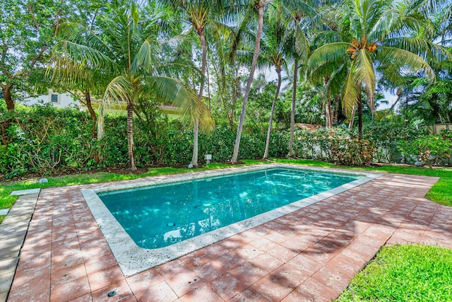 view of pool featuring a patio