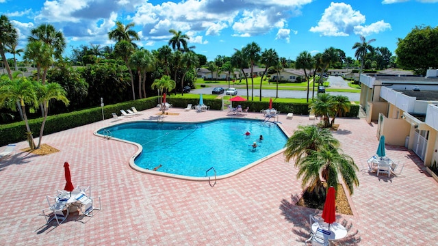 view of swimming pool with a patio