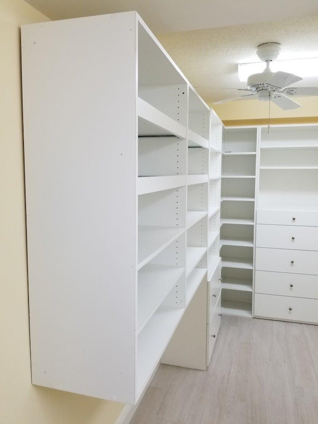 walk in closet featuring light hardwood / wood-style floors