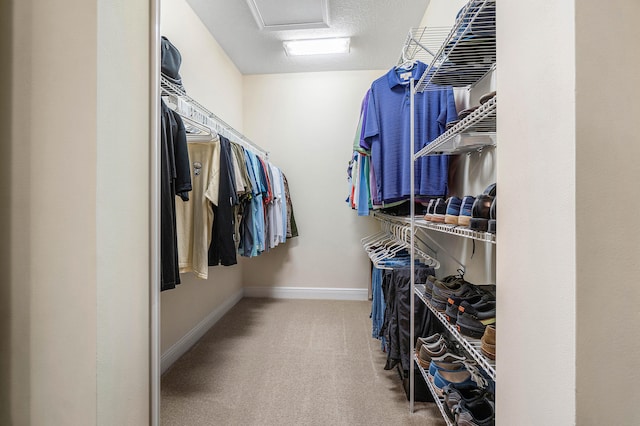 walk in closet with carpet floors