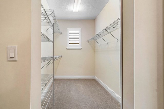 walk in closet with carpet