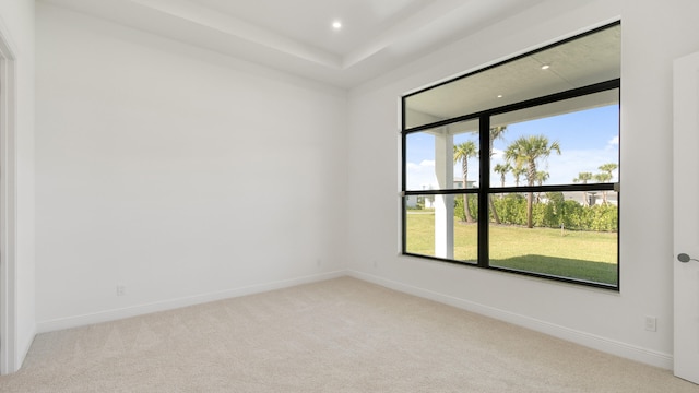 empty room featuring light colored carpet