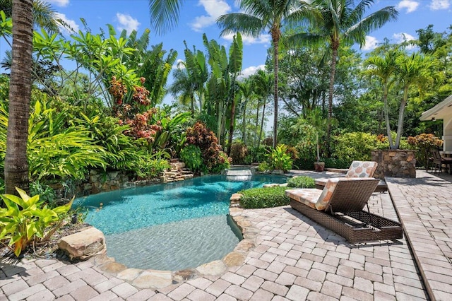 view of pool with a patio