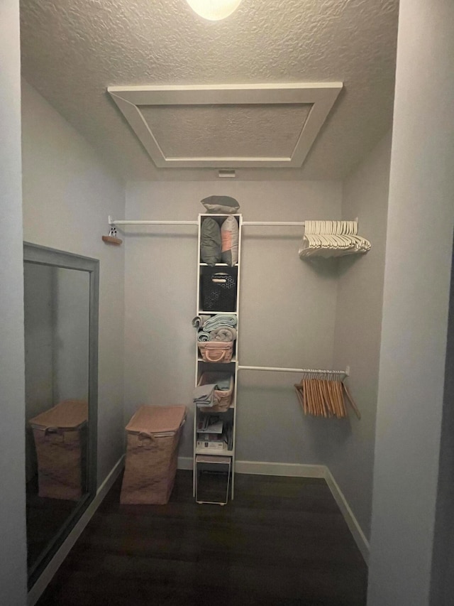 spacious closet featuring dark wood-type flooring