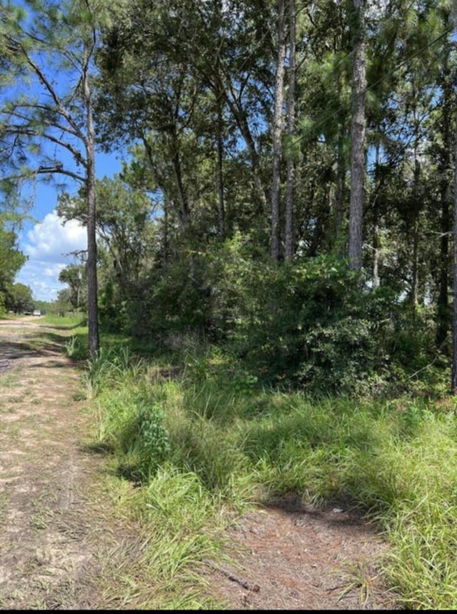 0 Farrer Rd, Frostproof FL, 33843 land for sale