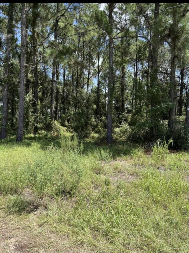 Listing photo 3 for 0 Farrer Rd, Frostproof FL 33843