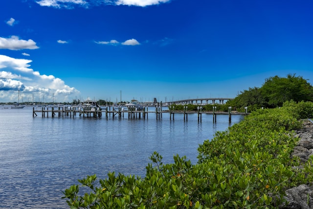 view of water feature with a boat dock