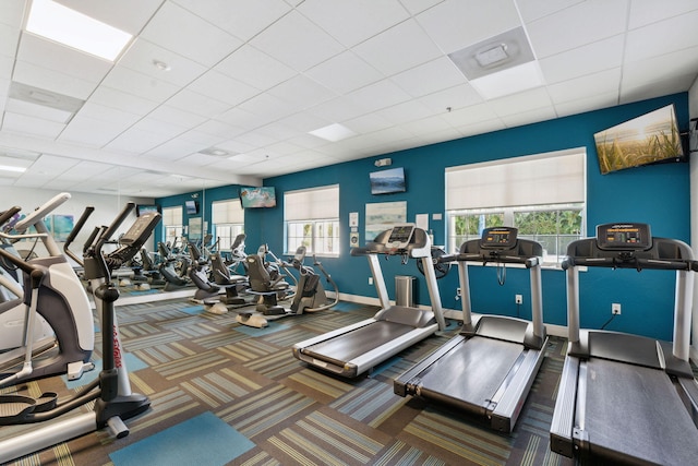 gym featuring a paneled ceiling and carpet