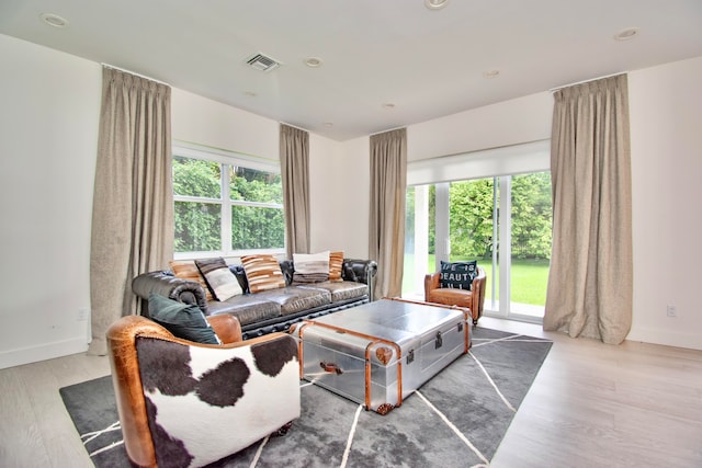 living room featuring hardwood / wood-style floors