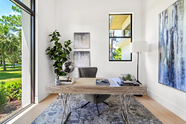 home office featuring light hardwood / wood-style flooring