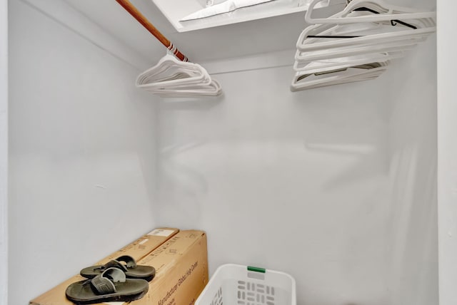 spacious closet with a skylight