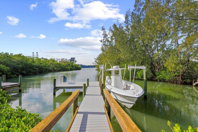 dock area with a water view