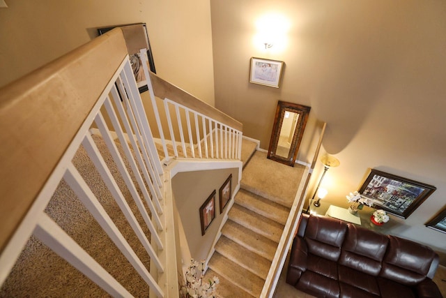 stairway with carpet floors