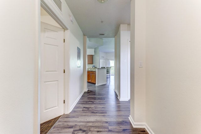 hallway with dark wood-type flooring