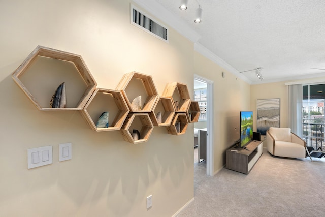 interior space with track lighting, crown molding, and a textured ceiling