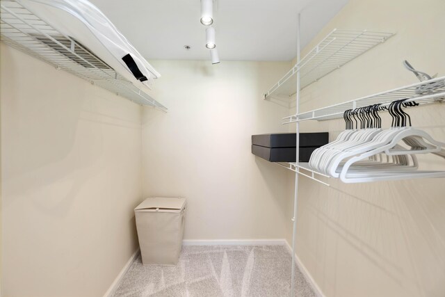 spacious closet with carpet flooring