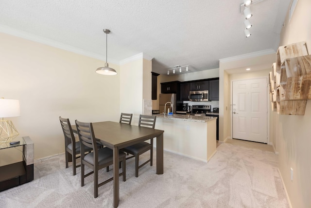 carpeted dining room featuring sink, rail lighting, a textured ceiling, and crown molding