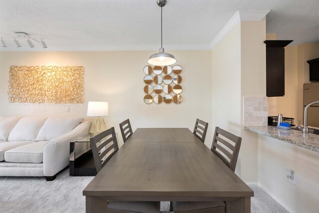 dining room featuring crown molding, rail lighting, a textured ceiling, carpet floors, and sink