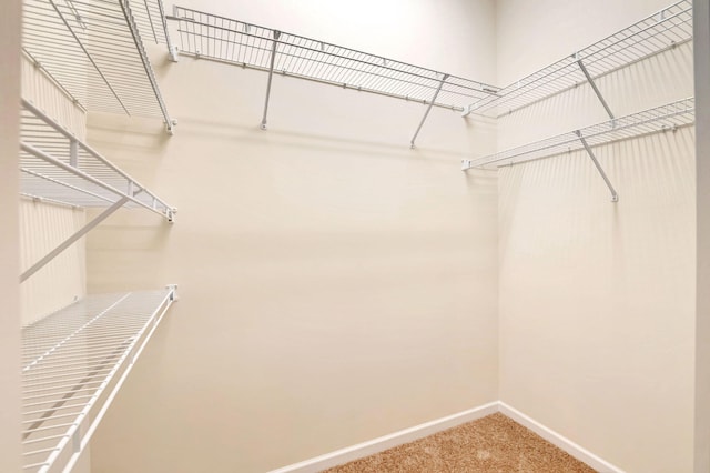 spacious closet with carpet floors