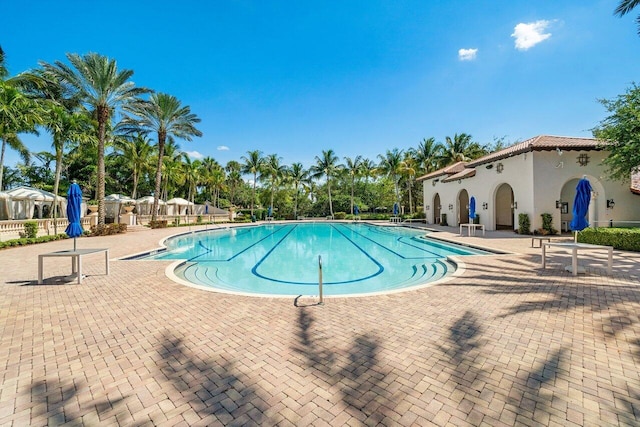 view of pool with a patio