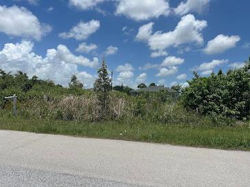 1285 SW Patricia Ave, Port Saint Lucie FL, 34953 land for sale