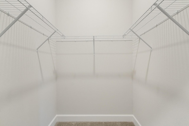 empty room featuring light colored carpet and lofted ceiling