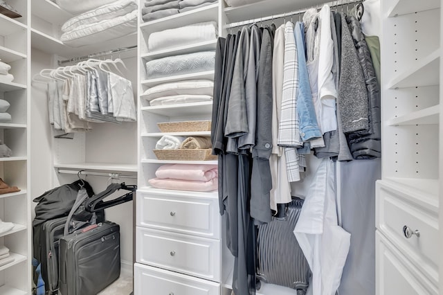 view of spacious closet