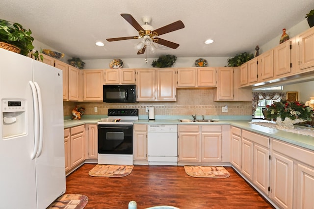 kitchen with ceiling fan, backsplash, sink, white appliances, and dark hardwood / wood-style flooring